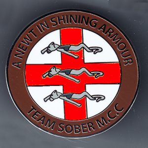 Newt in Shining Armour Rally Badge