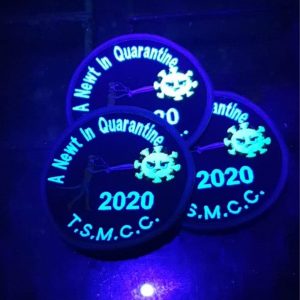 A Newt In Quarantine - 2020